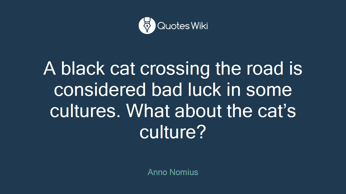 A black cat crossing the road is considered bad luck in some cultures. What about the cat’s culture?