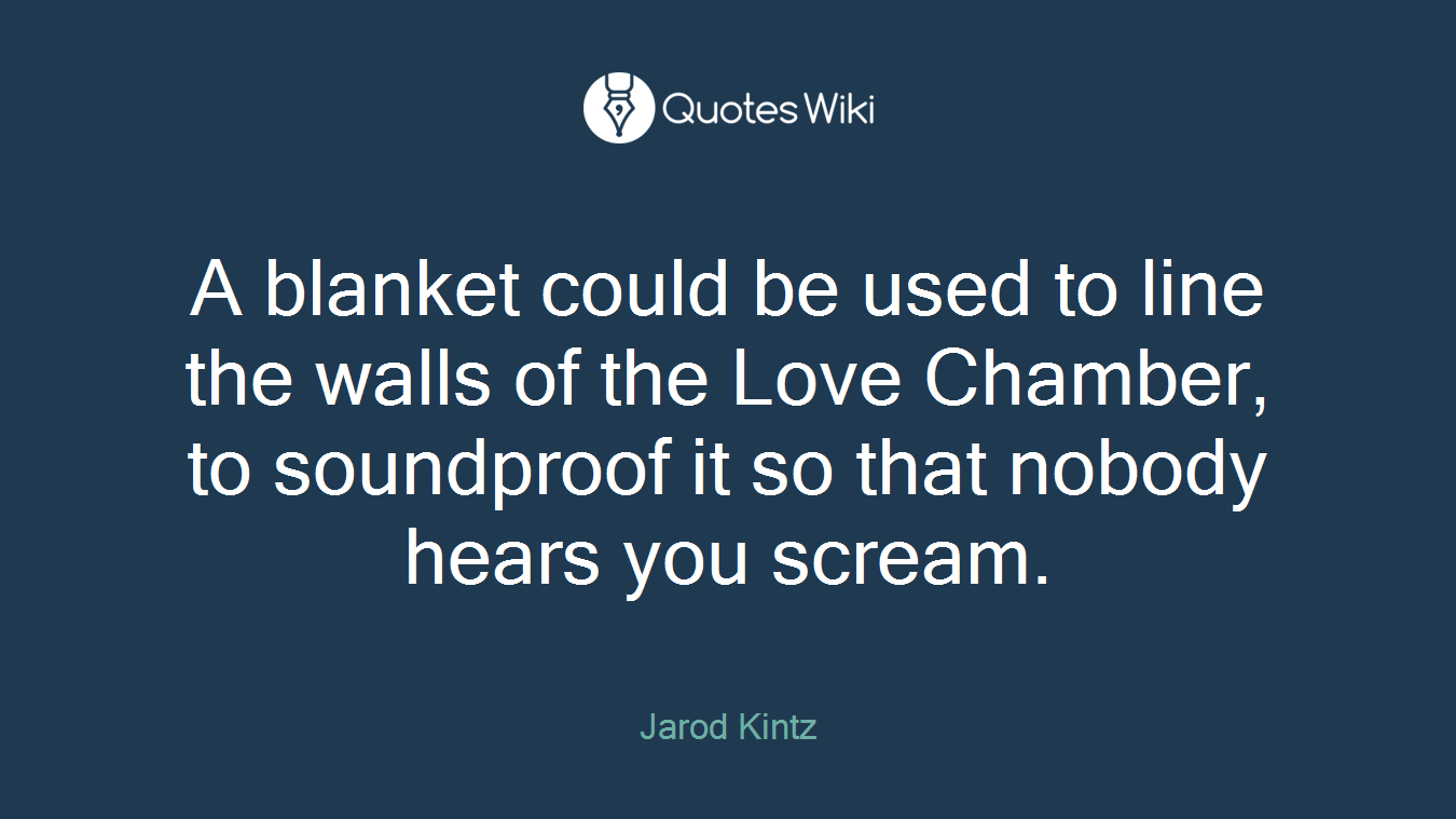 A blanket could be used to line the walls of the Love Chamber, to soundproof it so that nobody hears you scream.