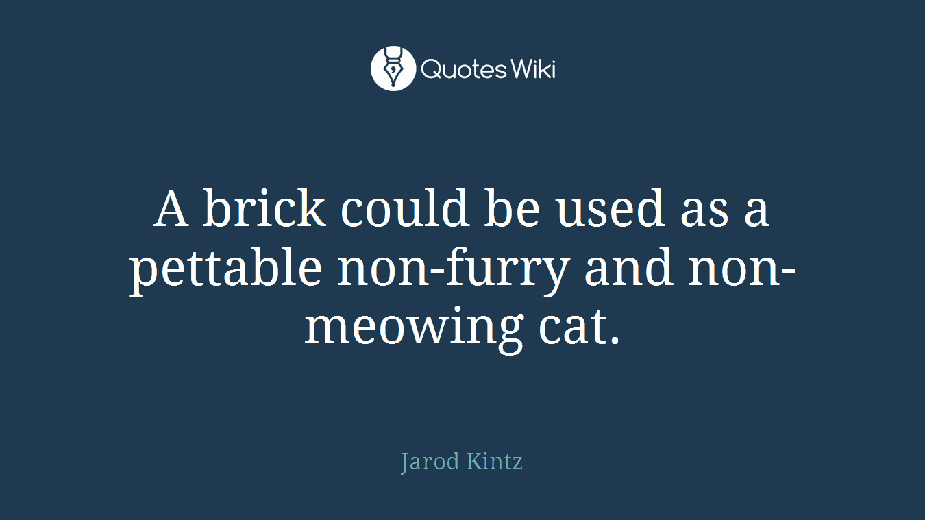 A brick could be used as a pettable non-furry and non-meowing cat.