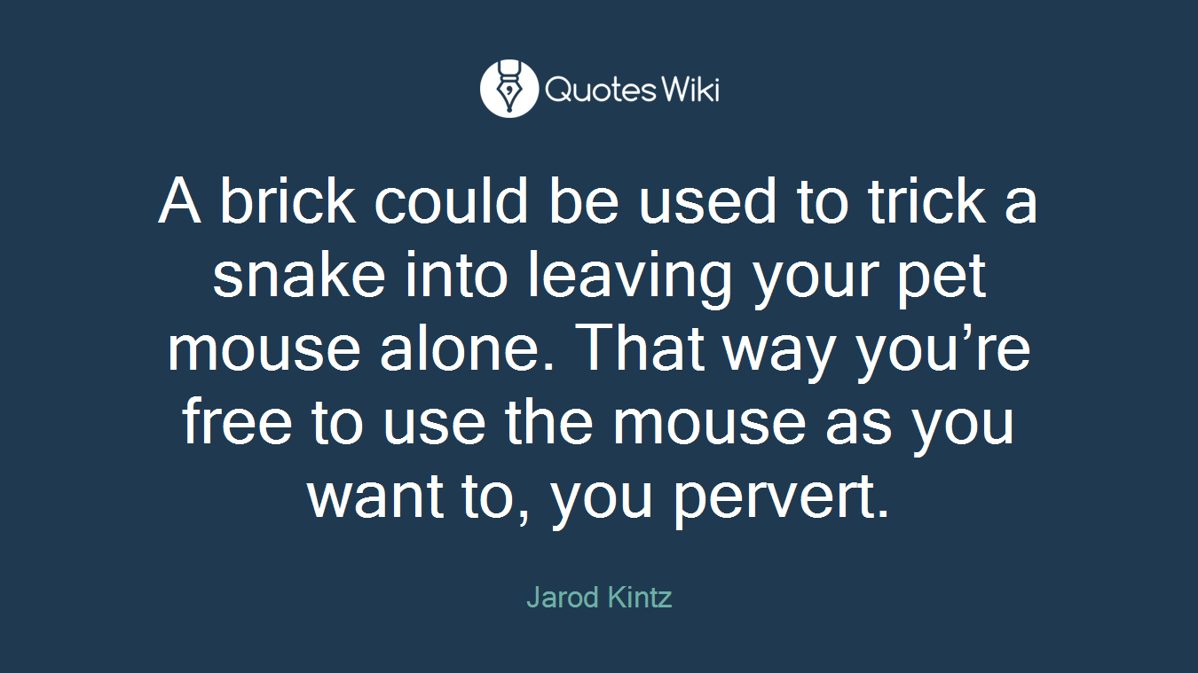 A brick could be used to trick a snake into leaving your pet mouse alone. That way you’re free to use the mouse as you want to, you pervert.