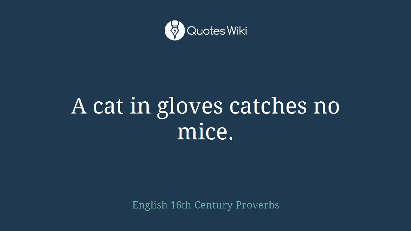 A cat in gloves catches no mice.