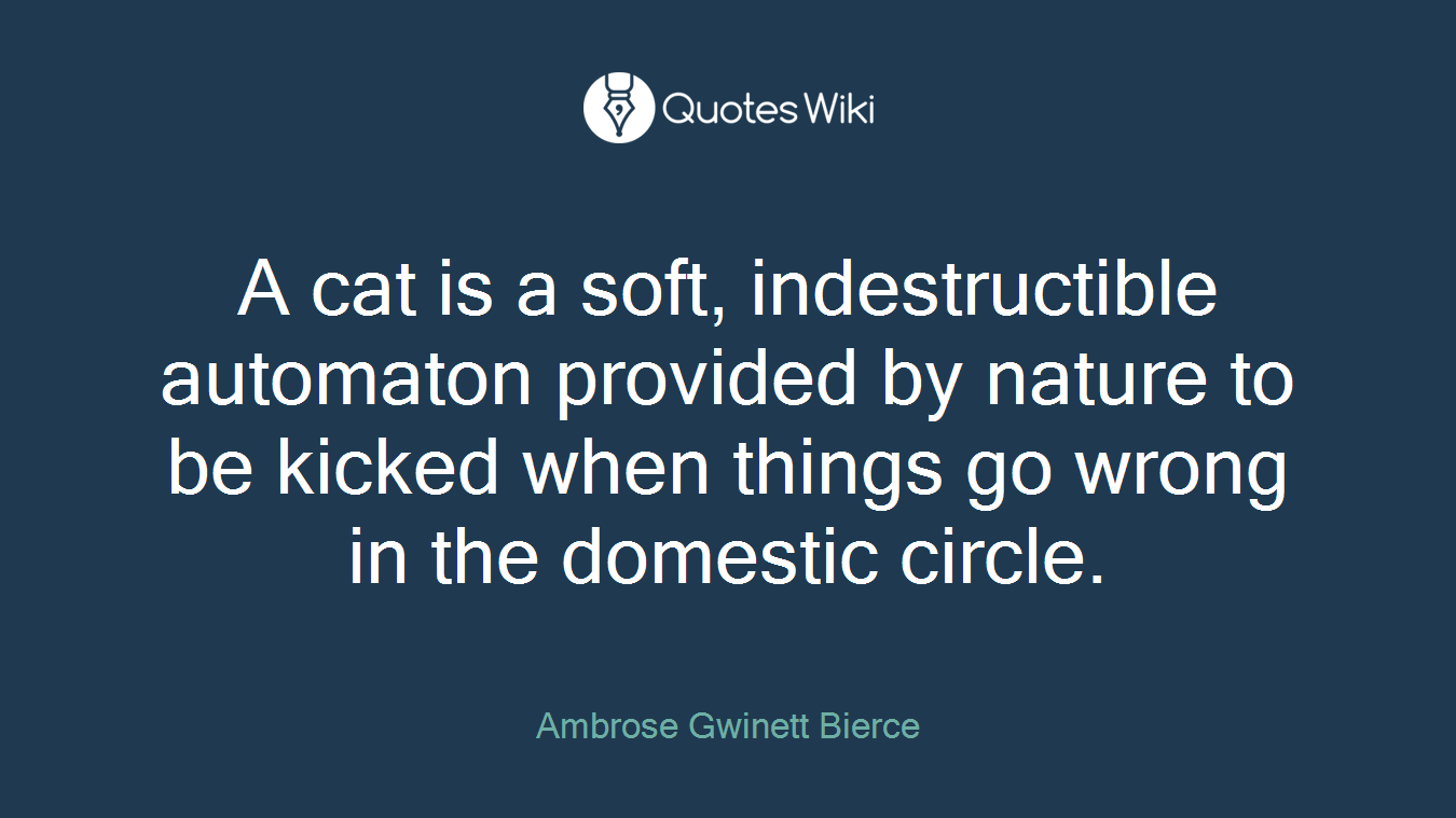 A cat is a soft, indestructible automaton provided by nature to be kicked when things go wrong in the domestic circle.