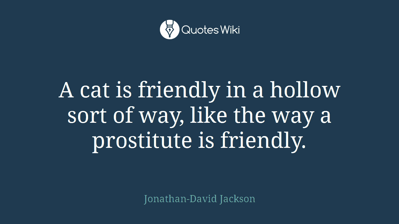 A cat is friendly in a hollow sort of way, like the way a prostitute is friendly.