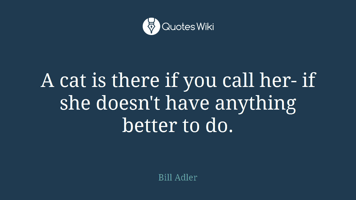A cat is there if you call her- if she doesn't have anything better to do.