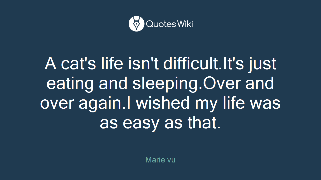 A cat's life isn't difficult.It's just eating and sleeping.Over and over again.I wished my life was as easy as that.