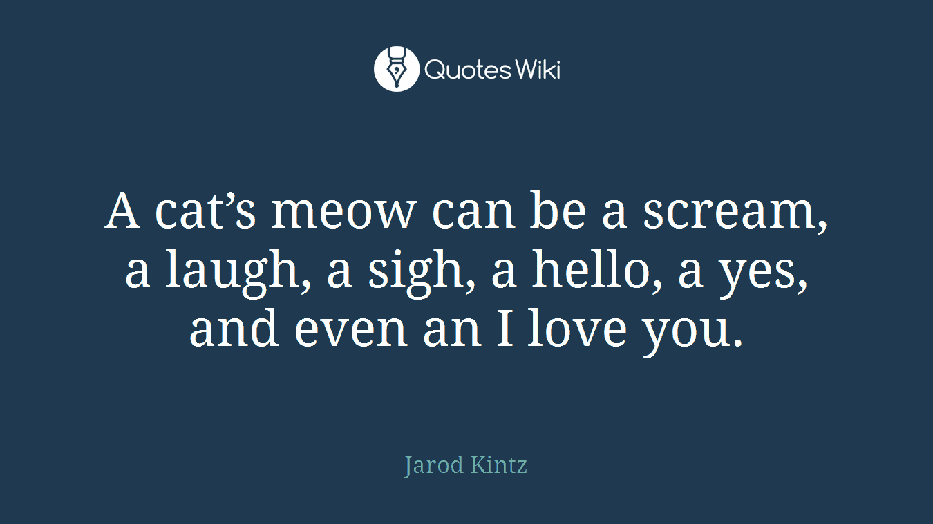 A cat’s meow can be a scream, a laugh, a sigh, a hello, a yes, and even an I love you.