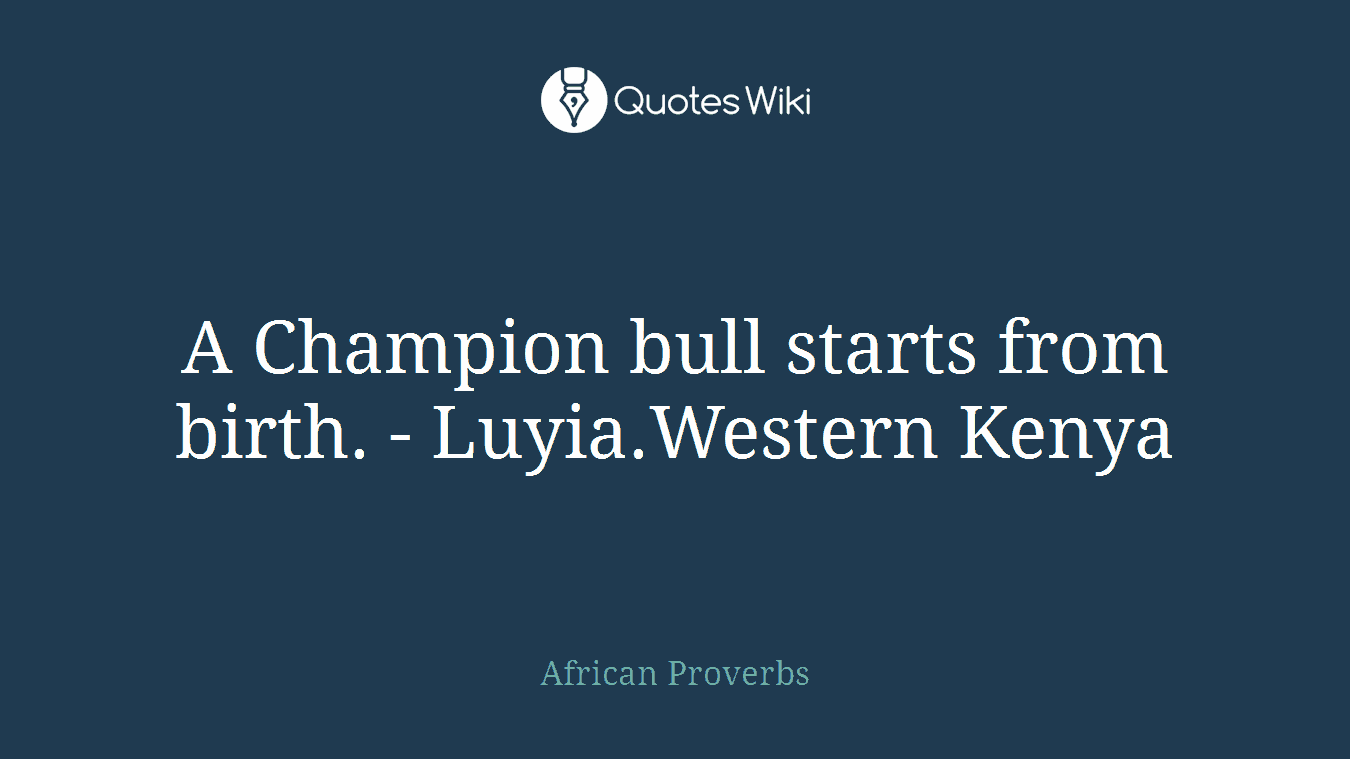 A Champion bull starts from birth. - Luyia.Western Kenya
