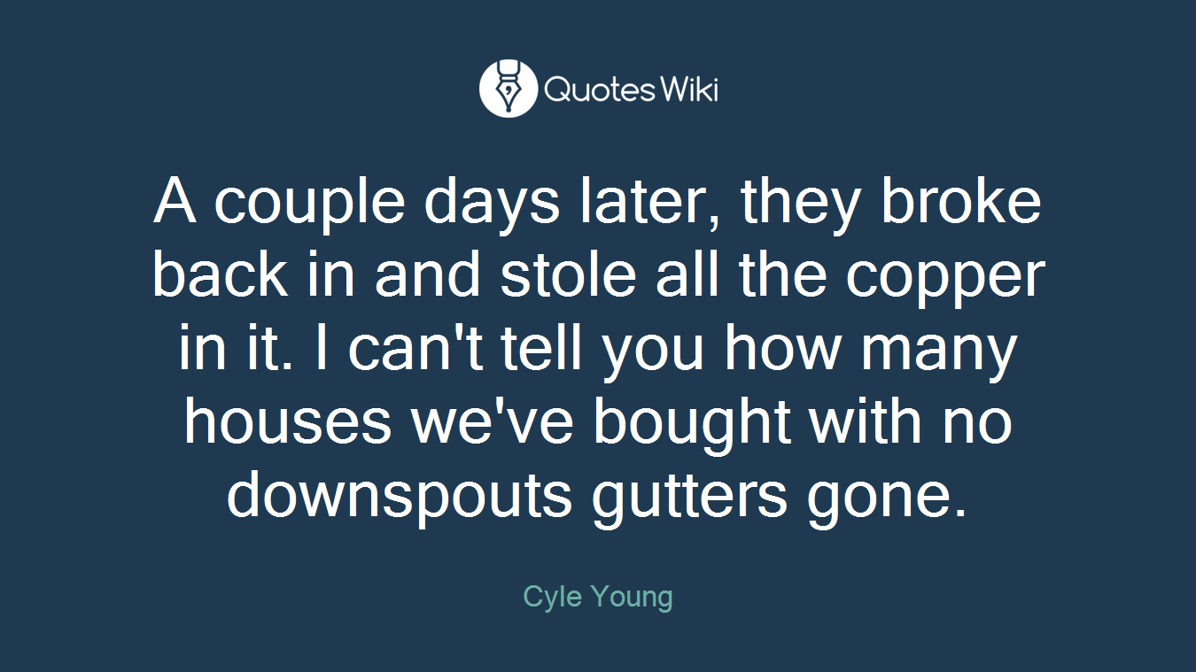 A couple days later, they broke back in and stole all the copper in it. I can't tell you how many houses we've bought with no downspouts gutters gone.