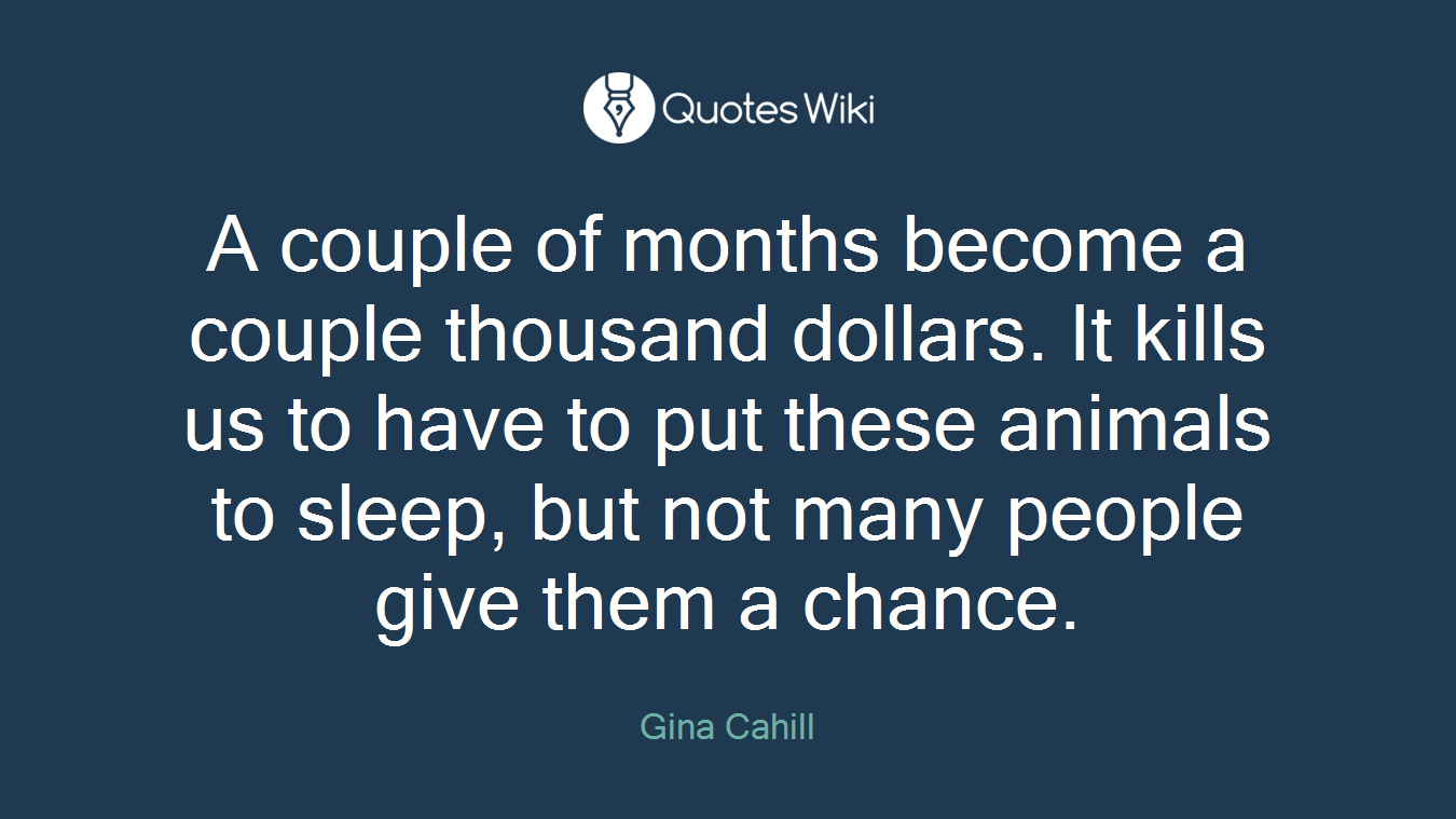 A couple of months become a couple thousand dollars. It kills us to have to put these animals to sleep, but not many people give them a chance.