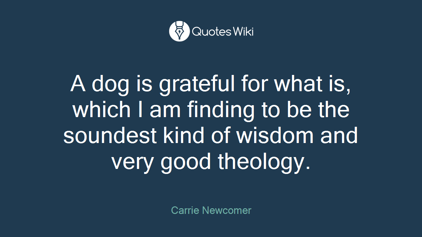 A dog is grateful for what is, which I am finding to be the soundest kind of wisdom and very good theology.