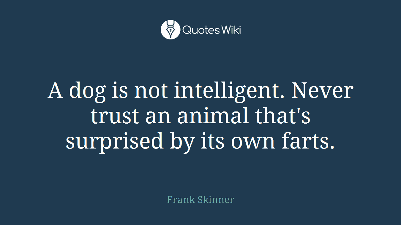 A dog is not intelligent. Never trust an animal that's surprised by its own farts.