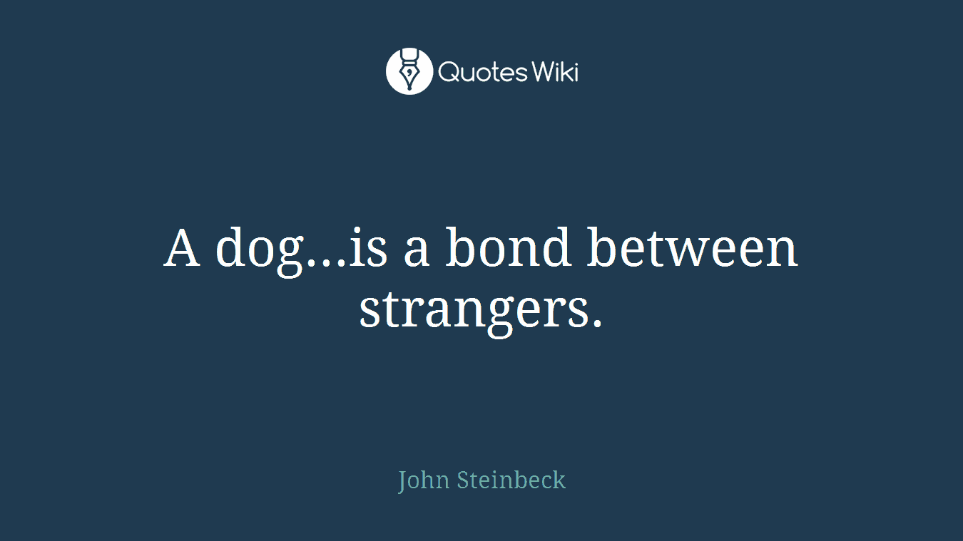 A dog...is a bond between strangers.