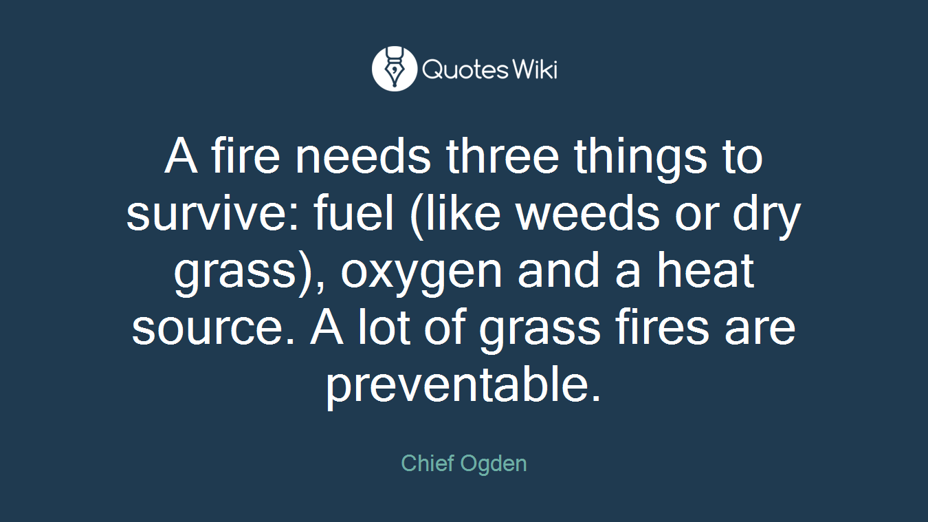 A fire needs three things to survive: fuel (like weeds or dry grass), oxygen and a heat source. A lot of grass fires are preventable.