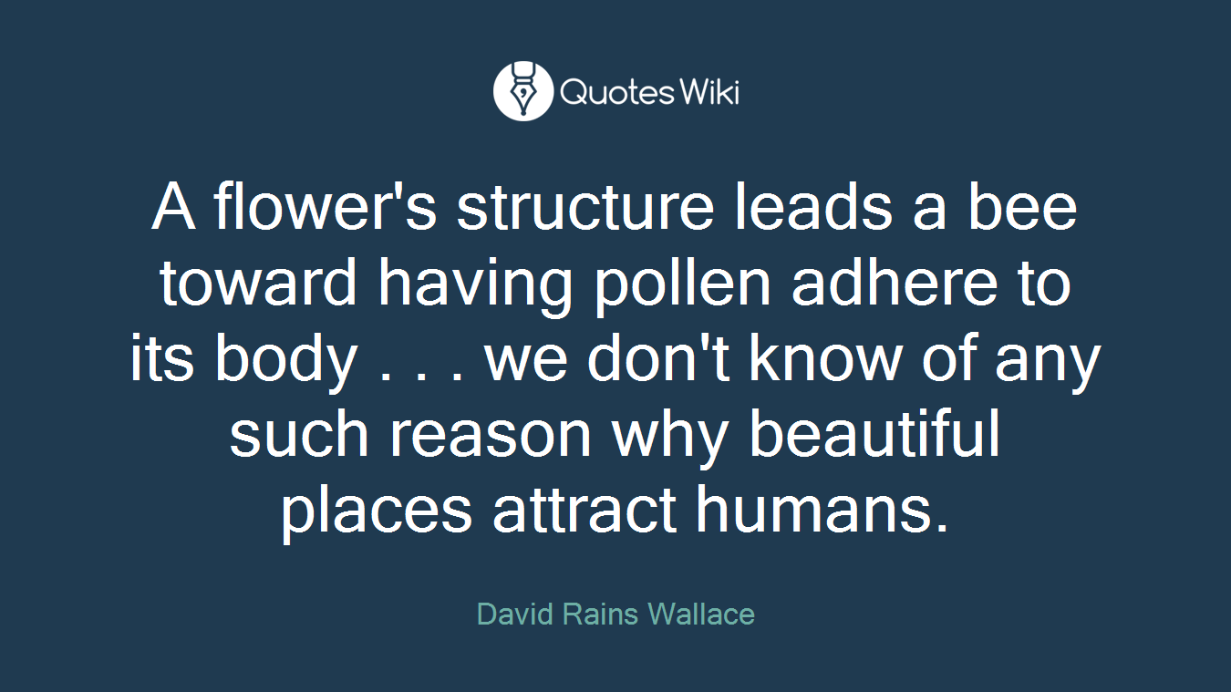 A flower's structure leads a bee toward having pollen adhere to its body . . . we don't know of any such reason why beautiful places attract humans.