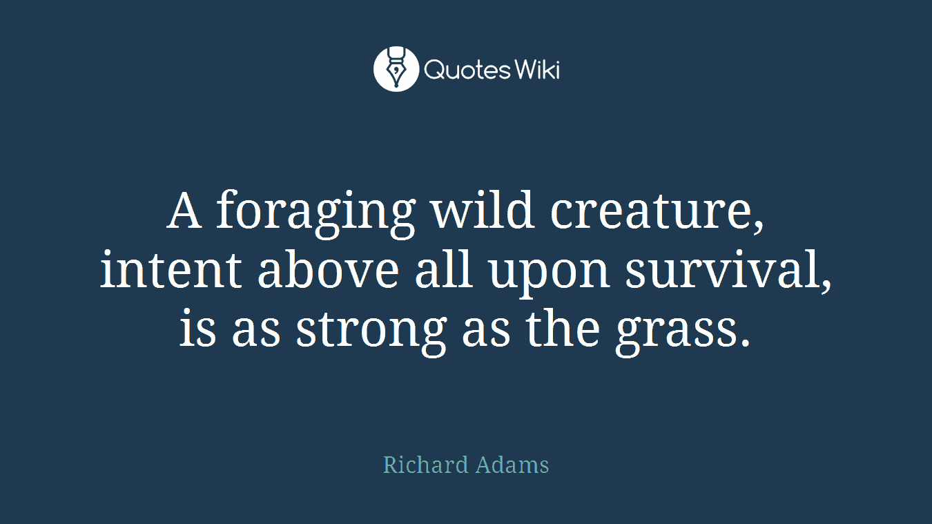 A foraging wild creature, intent above all upon survival, is as strong as the grass.