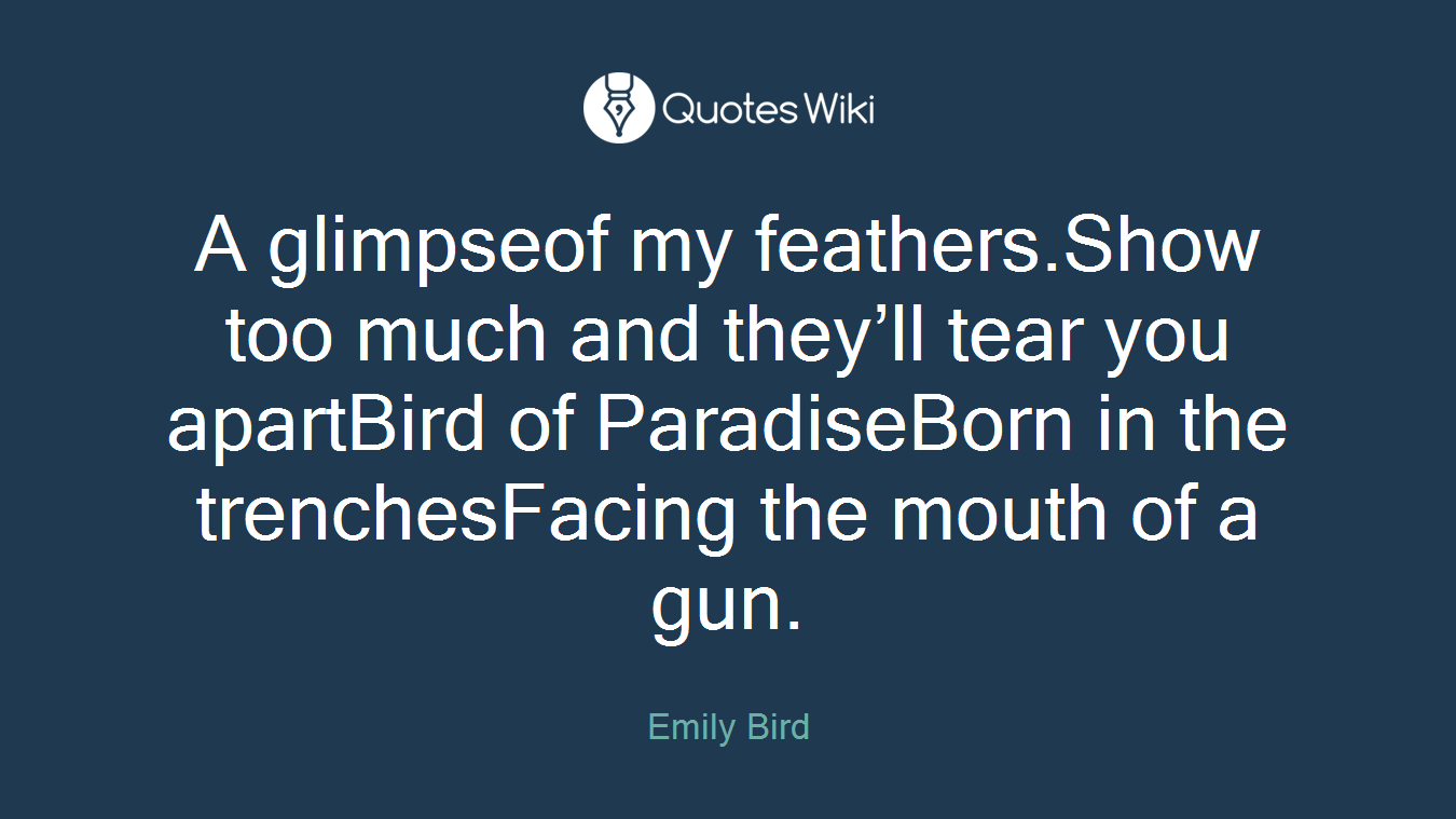 A glimpseof my feathers.Show too much and they’ll tear you apartBird of ParadiseBorn in the trenchesFacing the mouth of a gun.