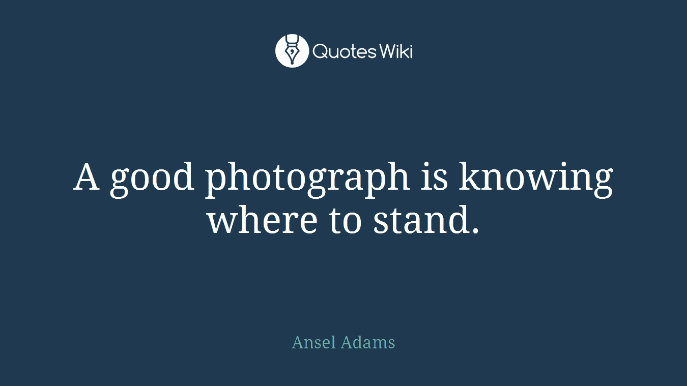 A good photograph is knowing where to stand.