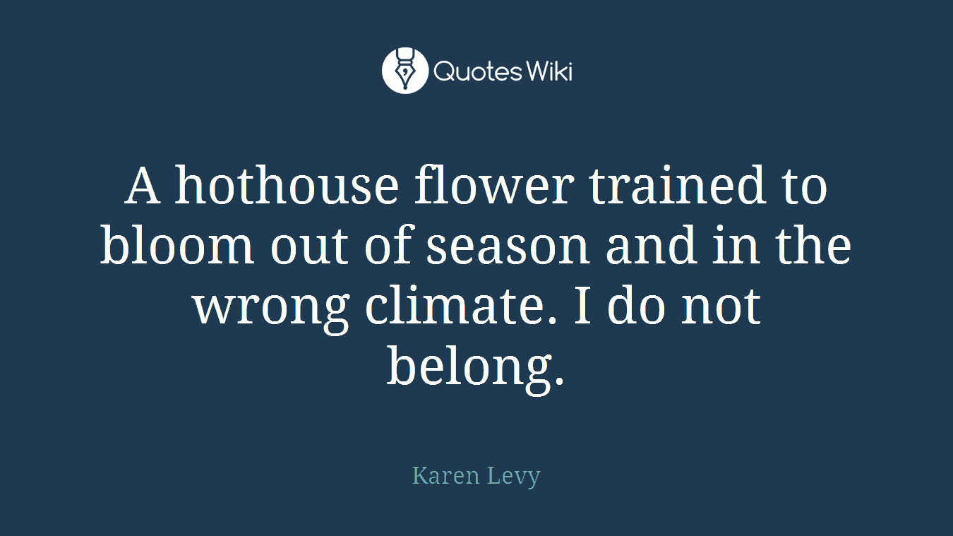 A hothouse flower trained to bloom out of season and in the wrong climate. I do not belong.