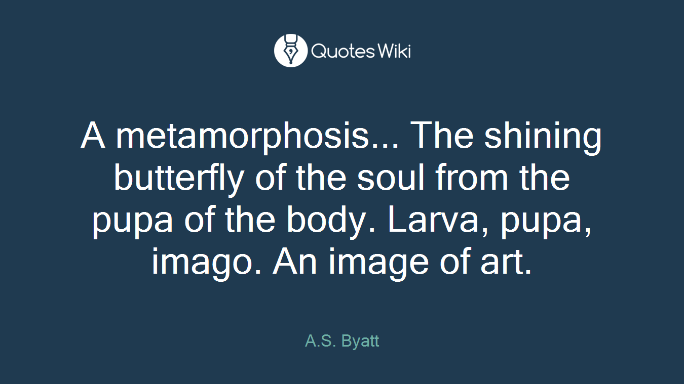 A metamorphosis... The shining butterfly of the soul from the pupa of the body. Larva, pupa, imago. An image of art.