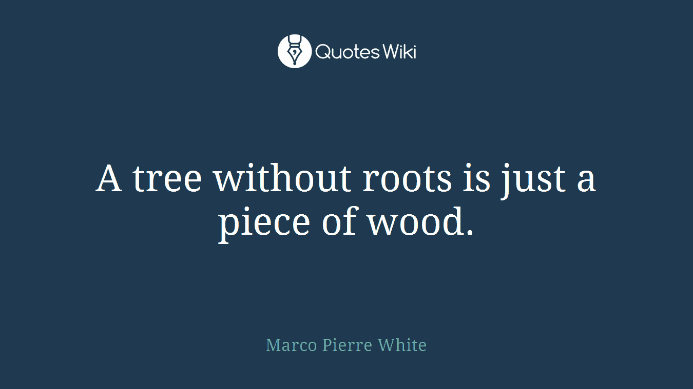A tree without roots is just a piece of wood.