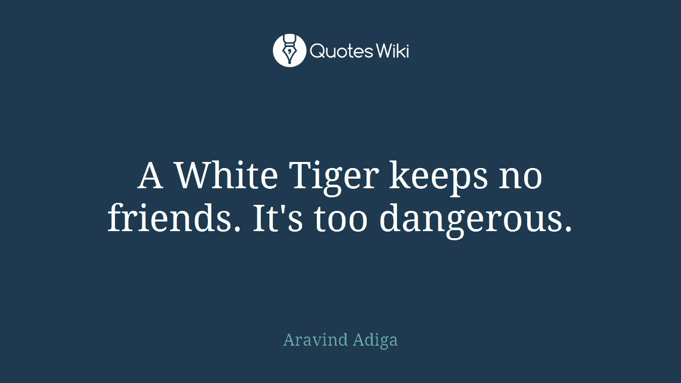 A White Tiger keeps no friends. It's too dangerous.
