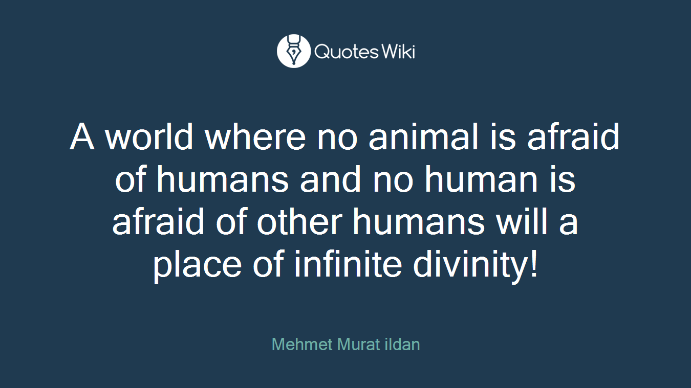 A world where no animal is afraid of humans and no human is afraid of other humans will a place of infinite divinity!