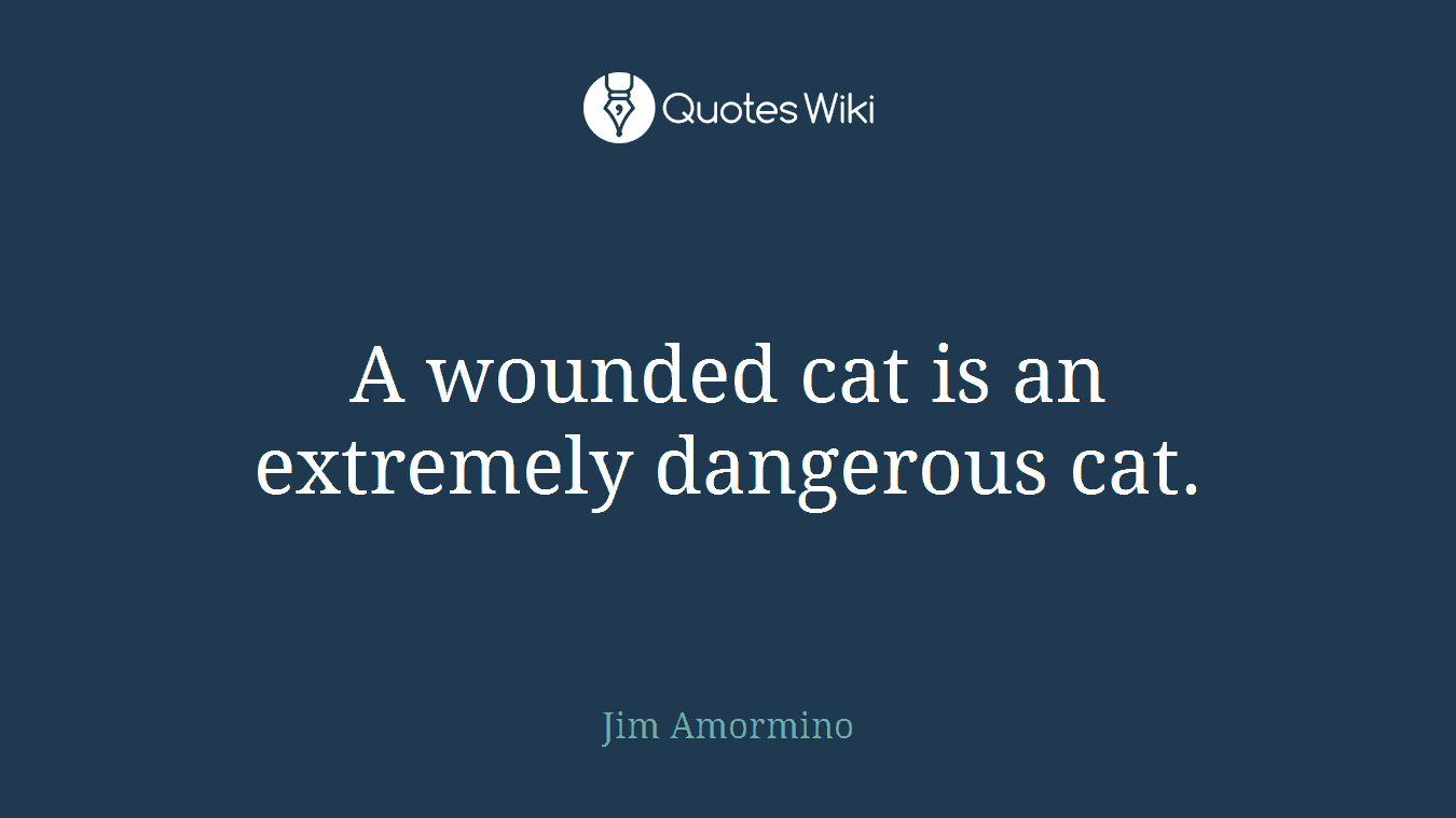 A wounded cat is an extremely dangerous cat.