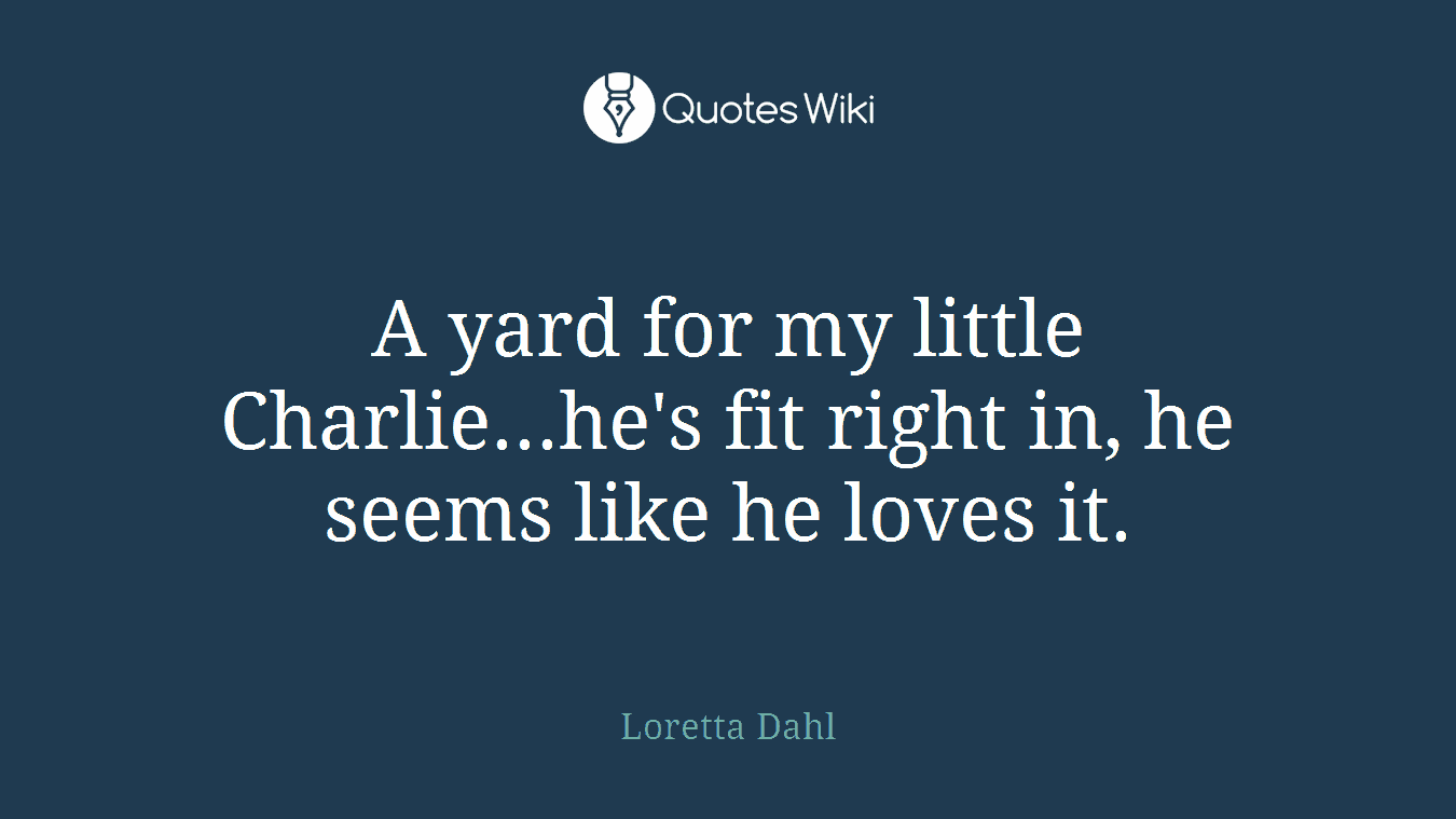 A yard for my little Charlie...he's fit right in, he seems like he loves it.