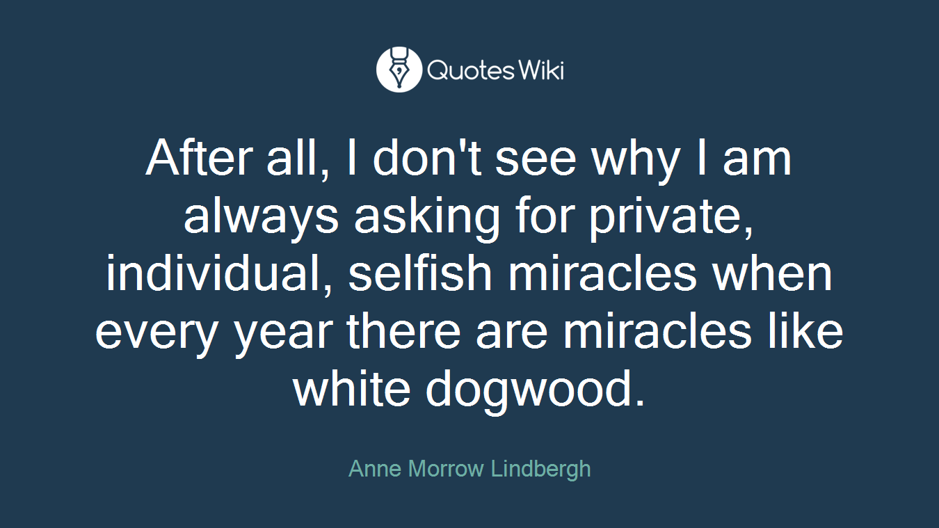 After all, I don't see why I am always asking for private, individual, selfish miracles when every year there are miracles like white dogwood.