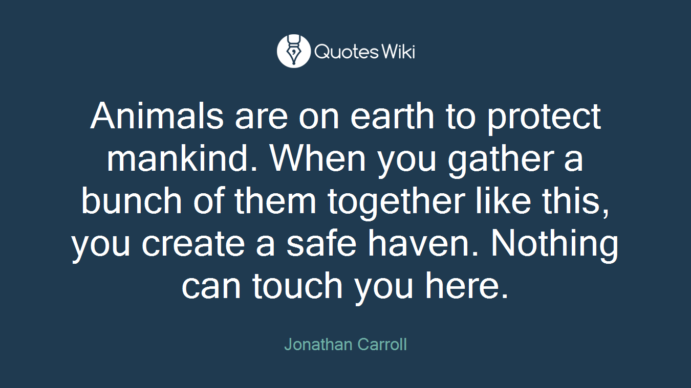 Animals are on earth to protect mankind. When you gather a bunch of them together like this, you create a safe haven. Nothing can touch you here.