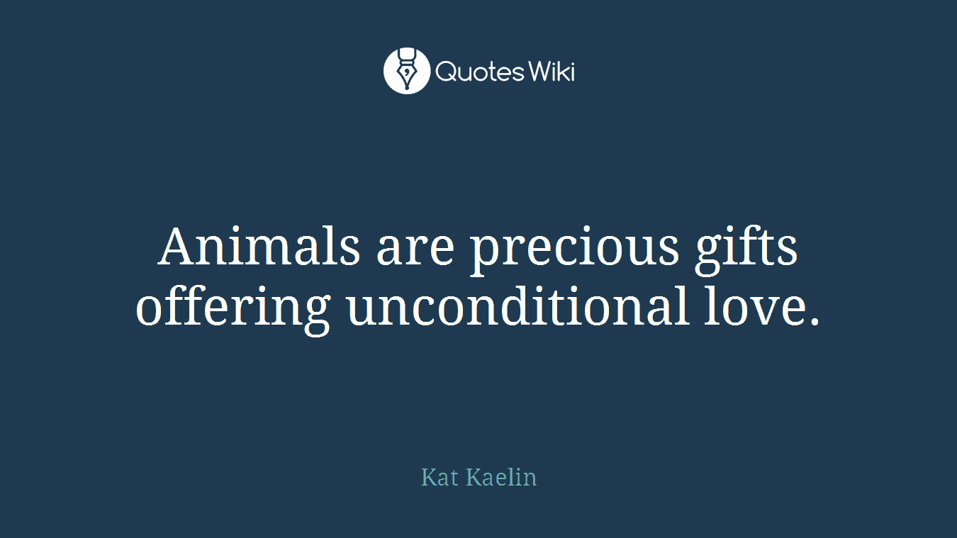 Animals are precious gifts offering unconditional love.