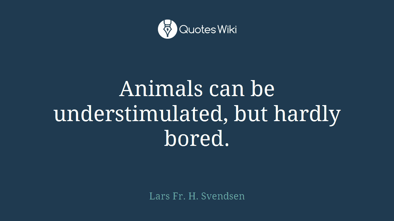 Animals can be understimulated, but hardly bored.