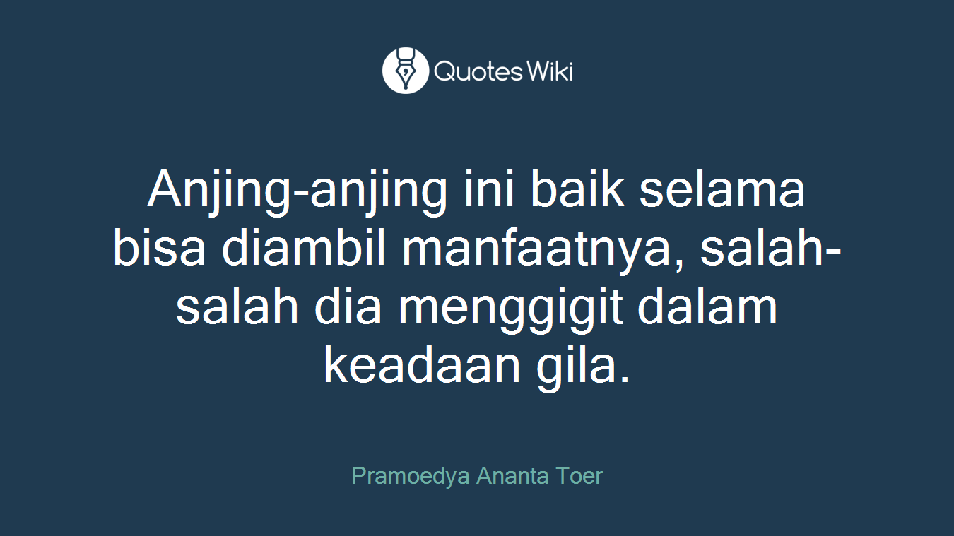 Anjing-anjing ini baik selama bisa diambil manfaatnya, salah-salah dia menggigit dalam keadaan gila.