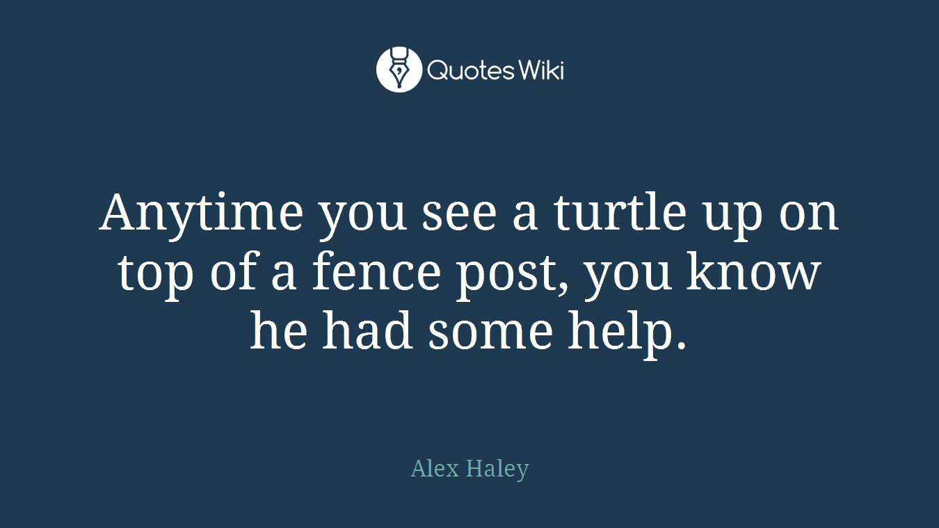 Anytime you see a turtle up on top of a fence post, you know he had some help.
