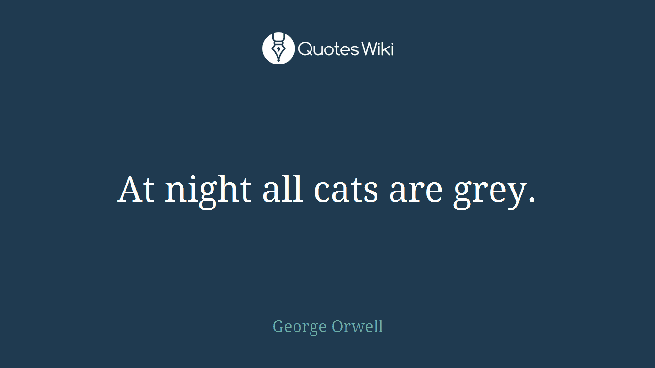 At night all cats are grey.