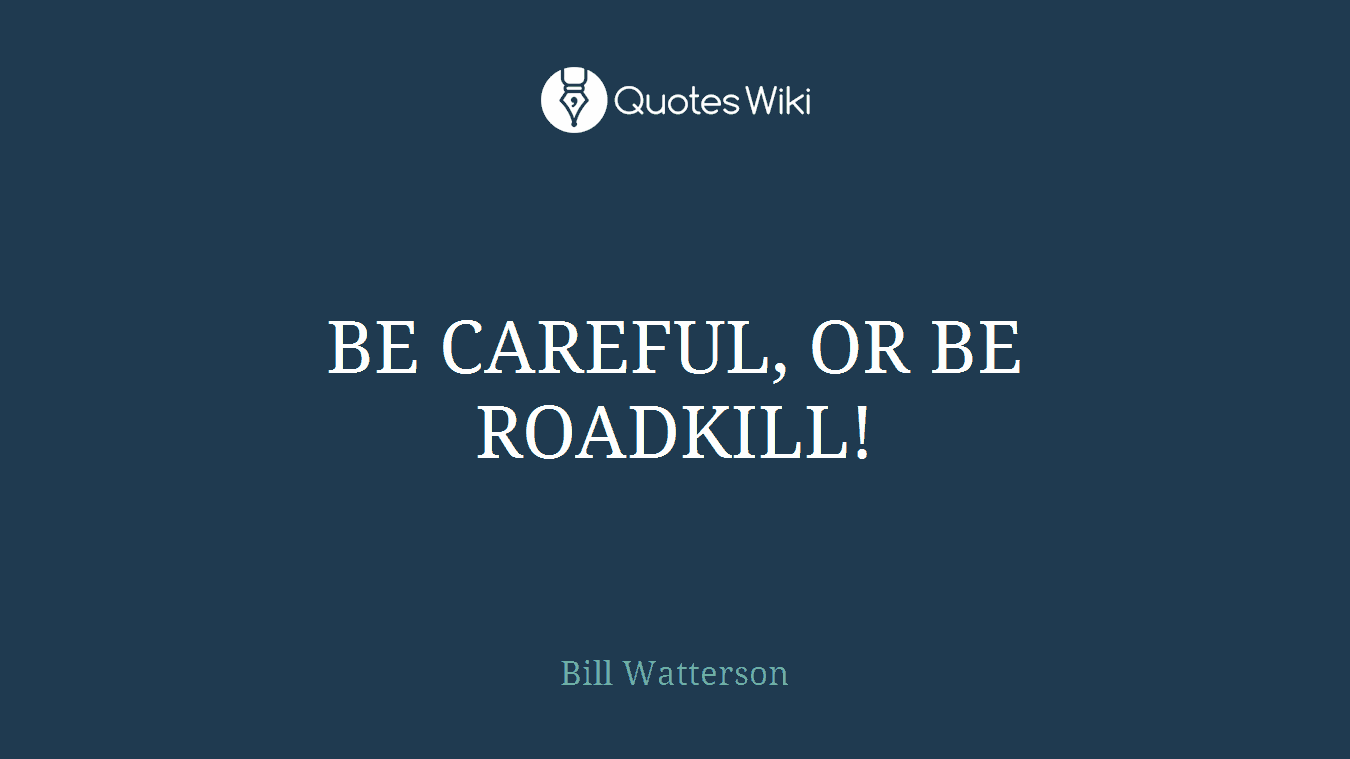 BE CAREFUL, OR BE ROADKILL!