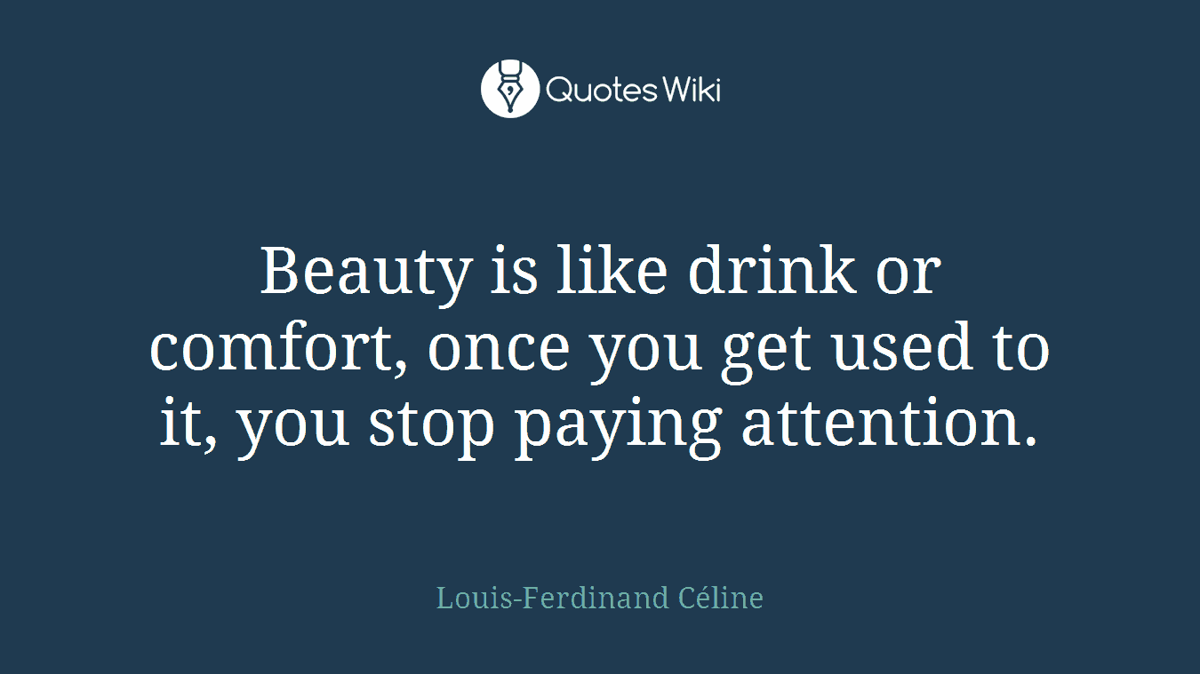 Beauty is like drink or comfort, once you get used to it, you stop paying attention.