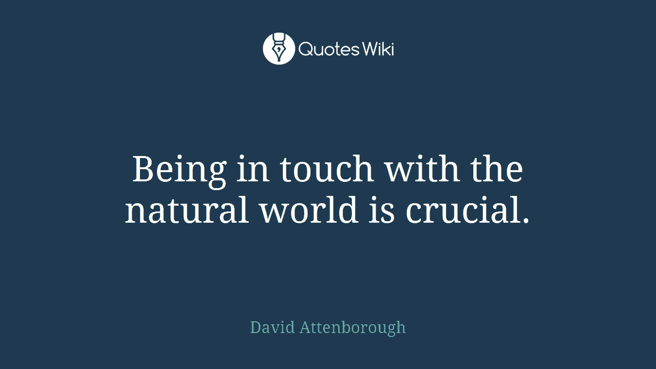Being in touch with the natural world is crucial.