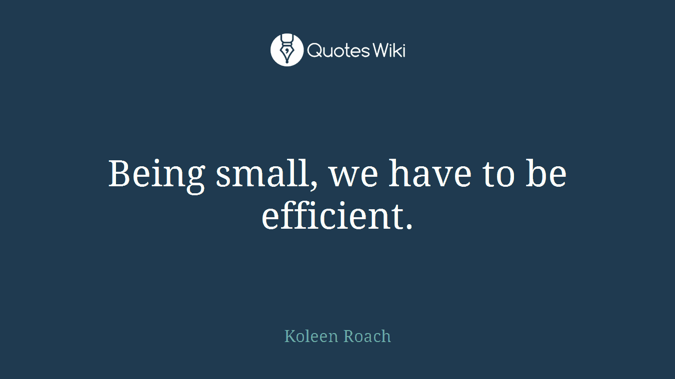 Being small, we have to be efficient.