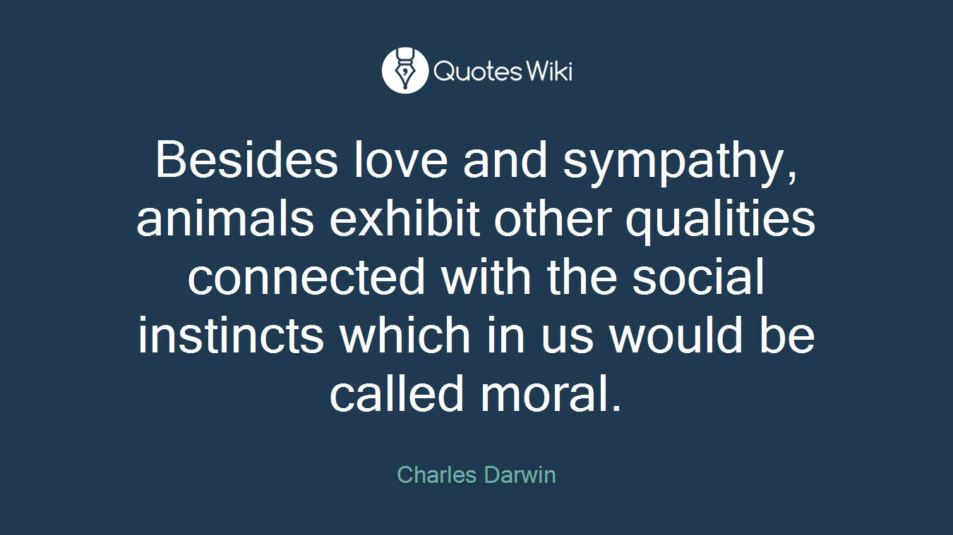 Besides love and sympathy, animals exhibit other qualities connected with the social instincts which in us would be called moral.