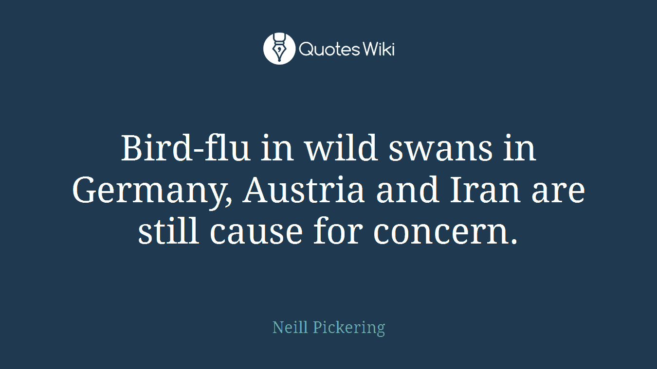 Bird-flu in wild swans in Germany, Austria and Iran are still cause for concern.