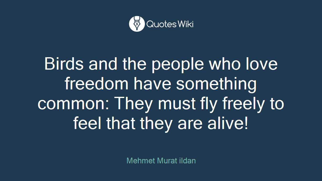 Birds and the people who love freedom have something common: They must fly freely to feel that they are alive!