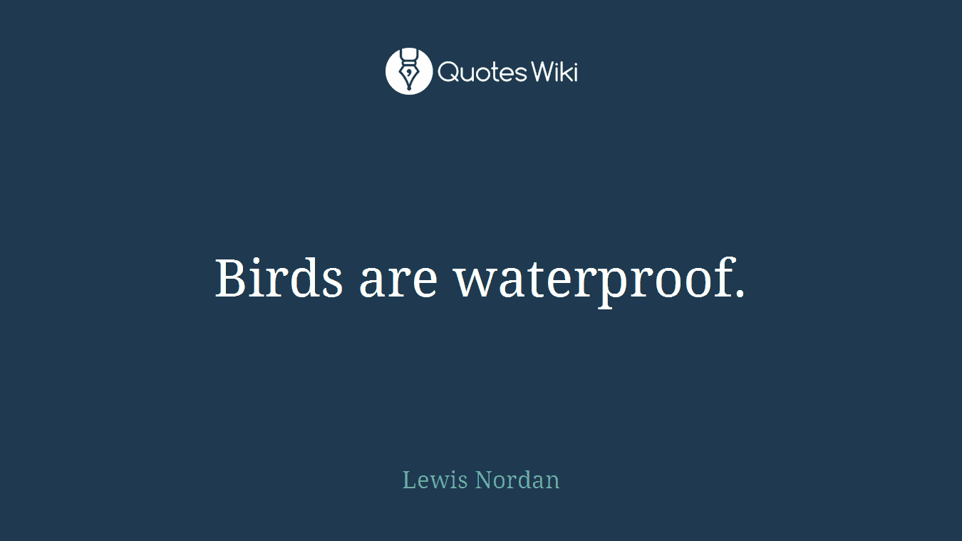 Birds are waterproof.