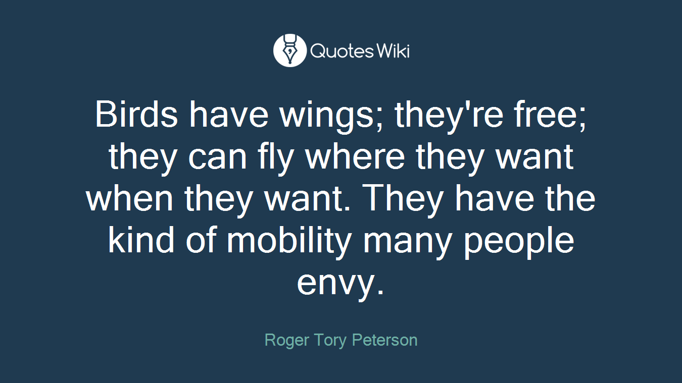 Birds have wings; they're free; they can fly where they want when they want. They have the kind of mobility many people envy.