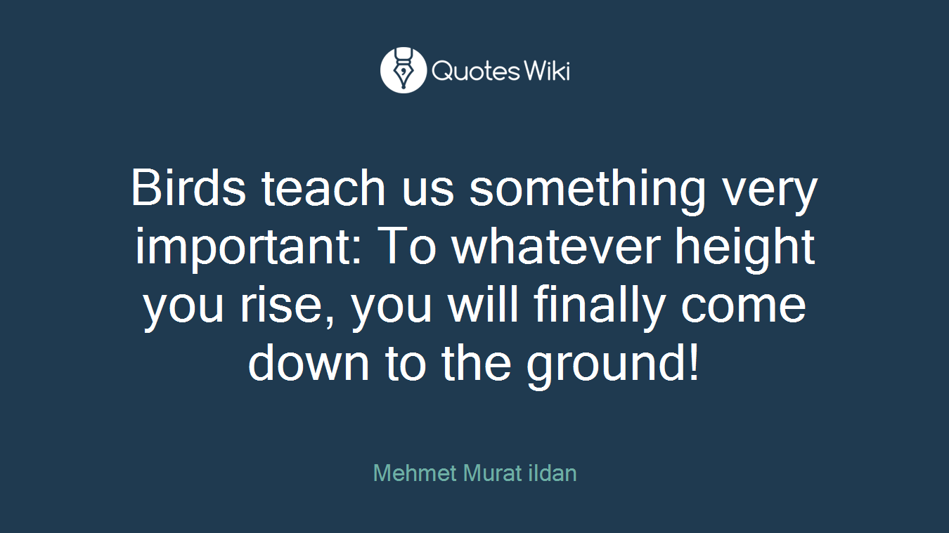 Birds teach us something very important: To whatever height you rise, you will finally come down to the ground!