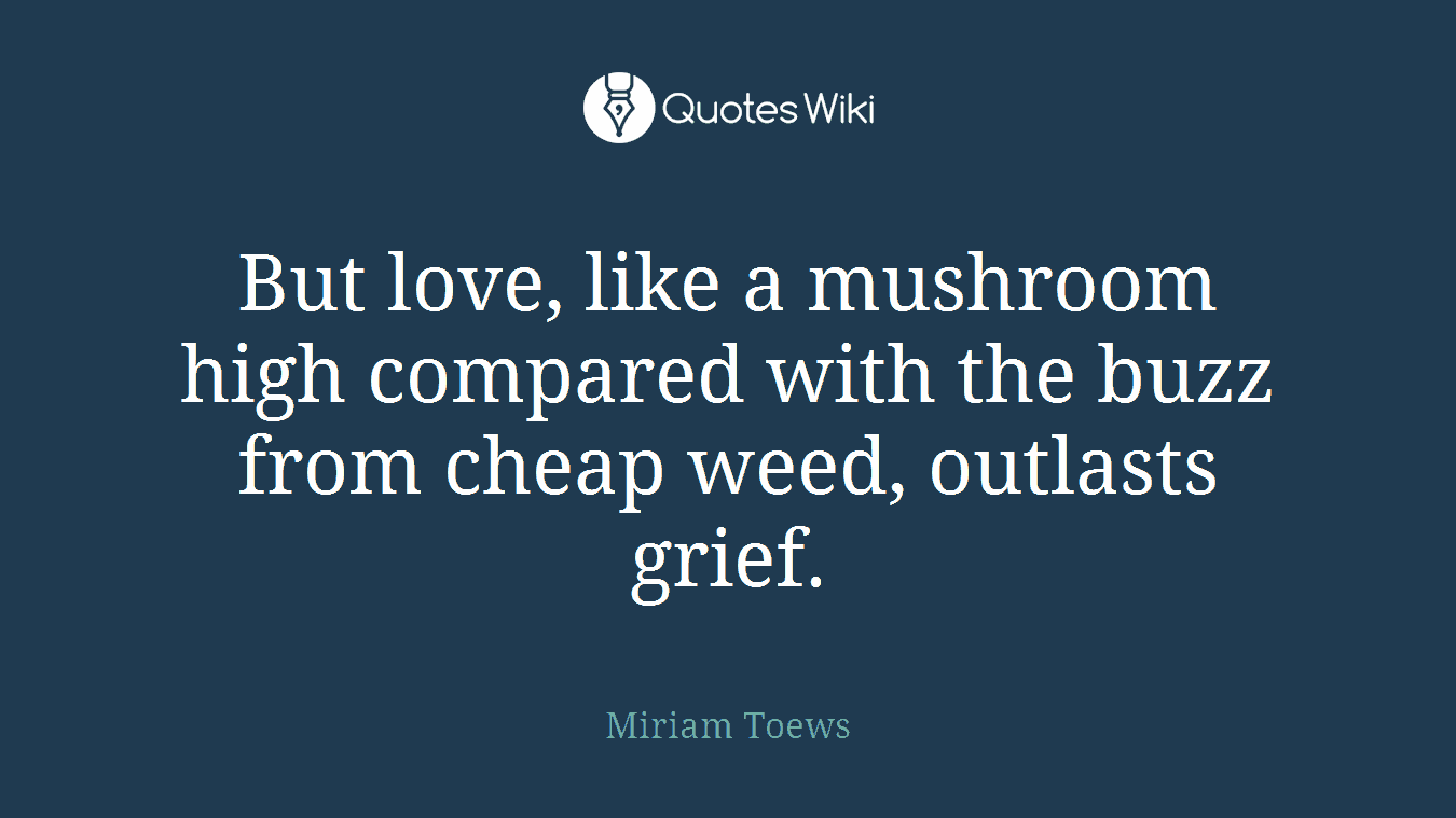 But love, like a mushroom high compared with the buzz from cheap weed, outlasts grief.