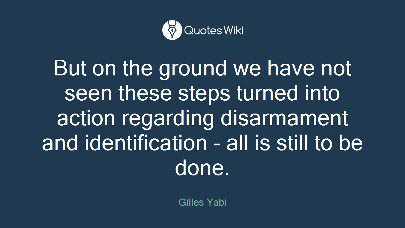 But on the ground we have not seen these steps turned into action regarding disarmament and identification - all is still to be done.
