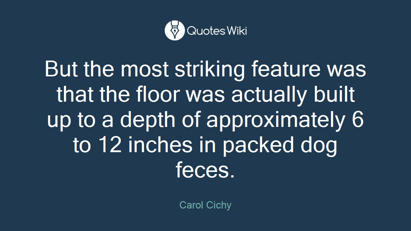 But the most striking feature was that the floor was actually built up to a depth of approximately 6 to 12 inches in packed dog feces.