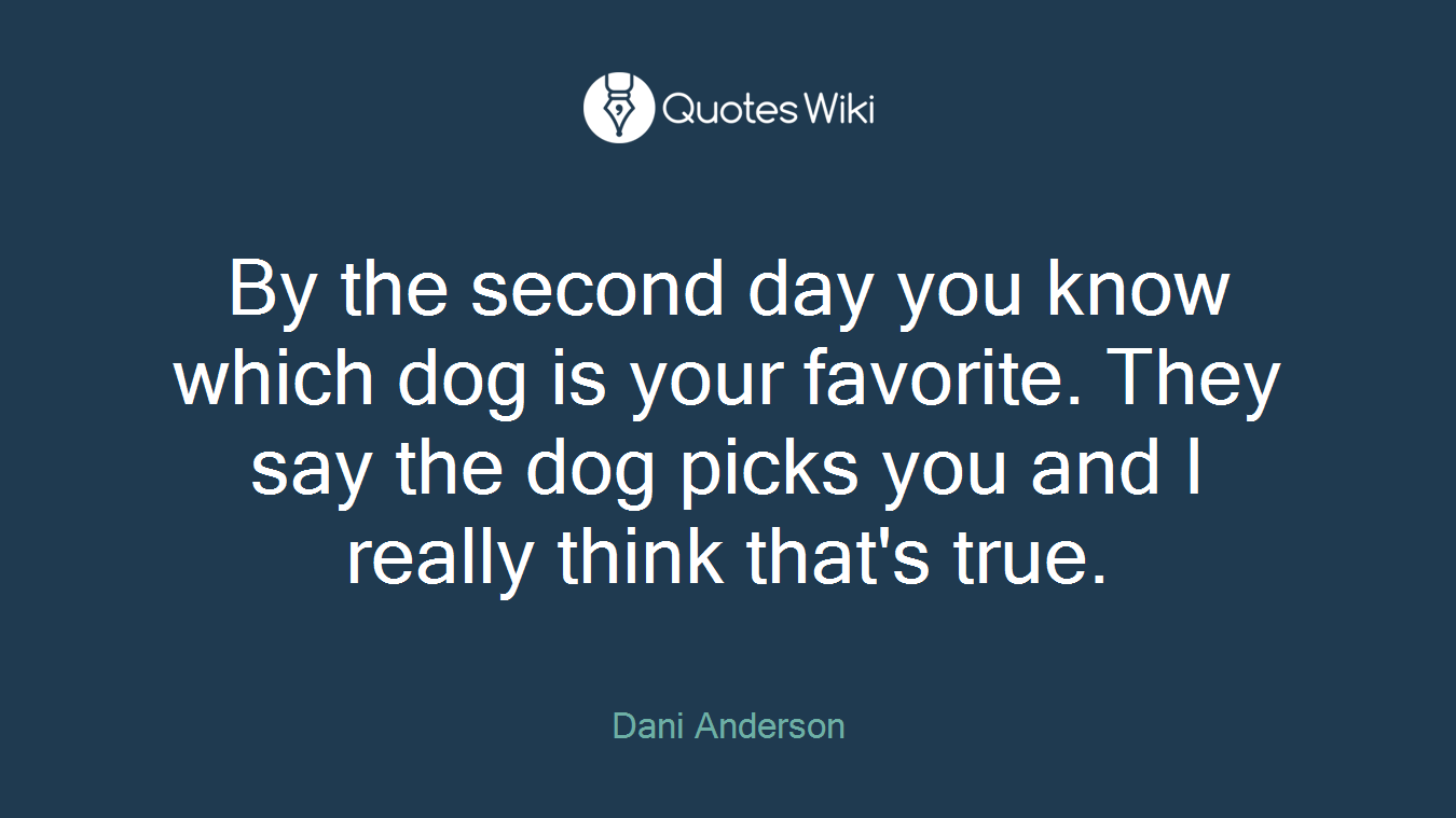 By the second day you know which dog is your favorite. They say the dog picks you and I really think that's true.