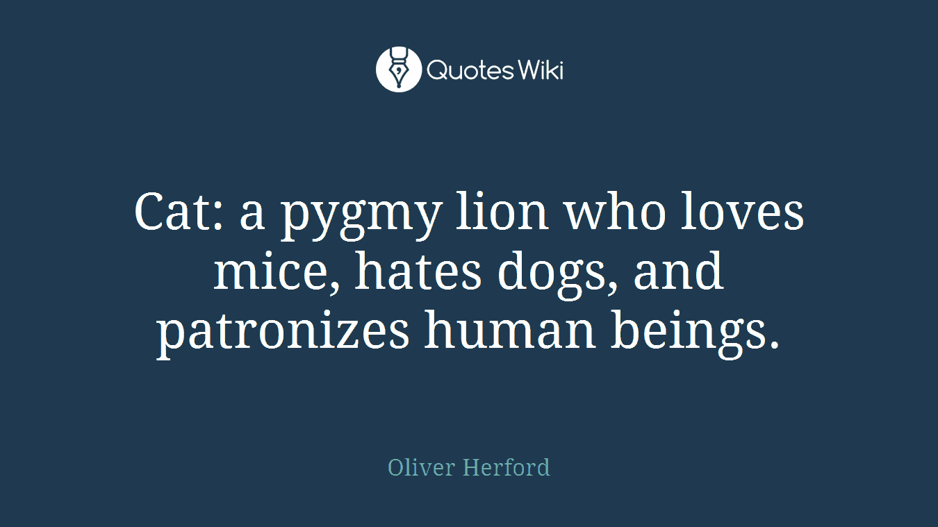 Cat: a pygmy lion who loves mice, hates dogs, and patronizes human beings.